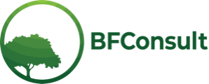 Logo BFConsult
